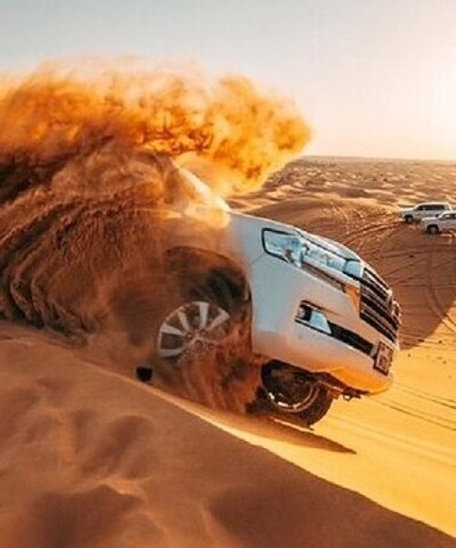 Desert Safari