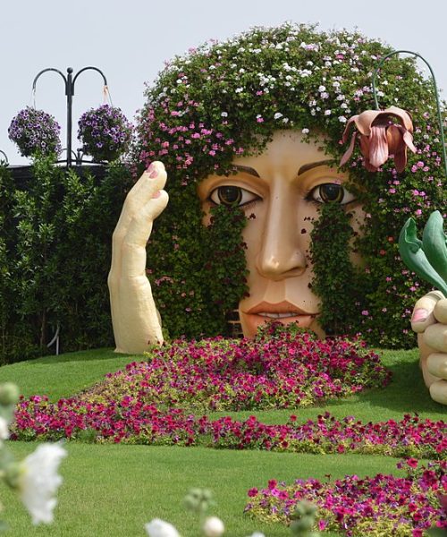 Miracle Garden