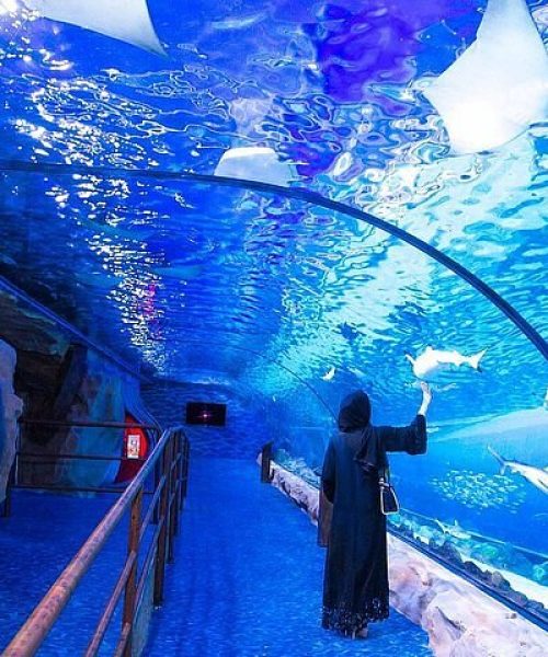 Dubai Aquarium